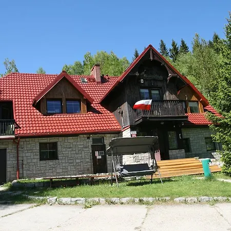 Czajka