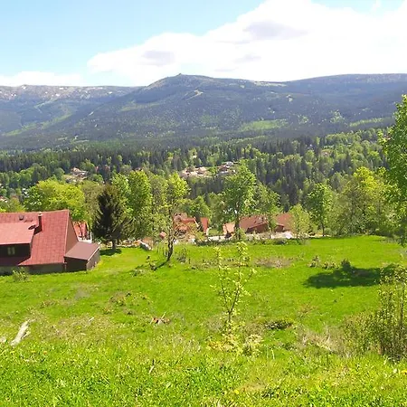 Czajka 2*