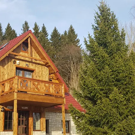 Czajka